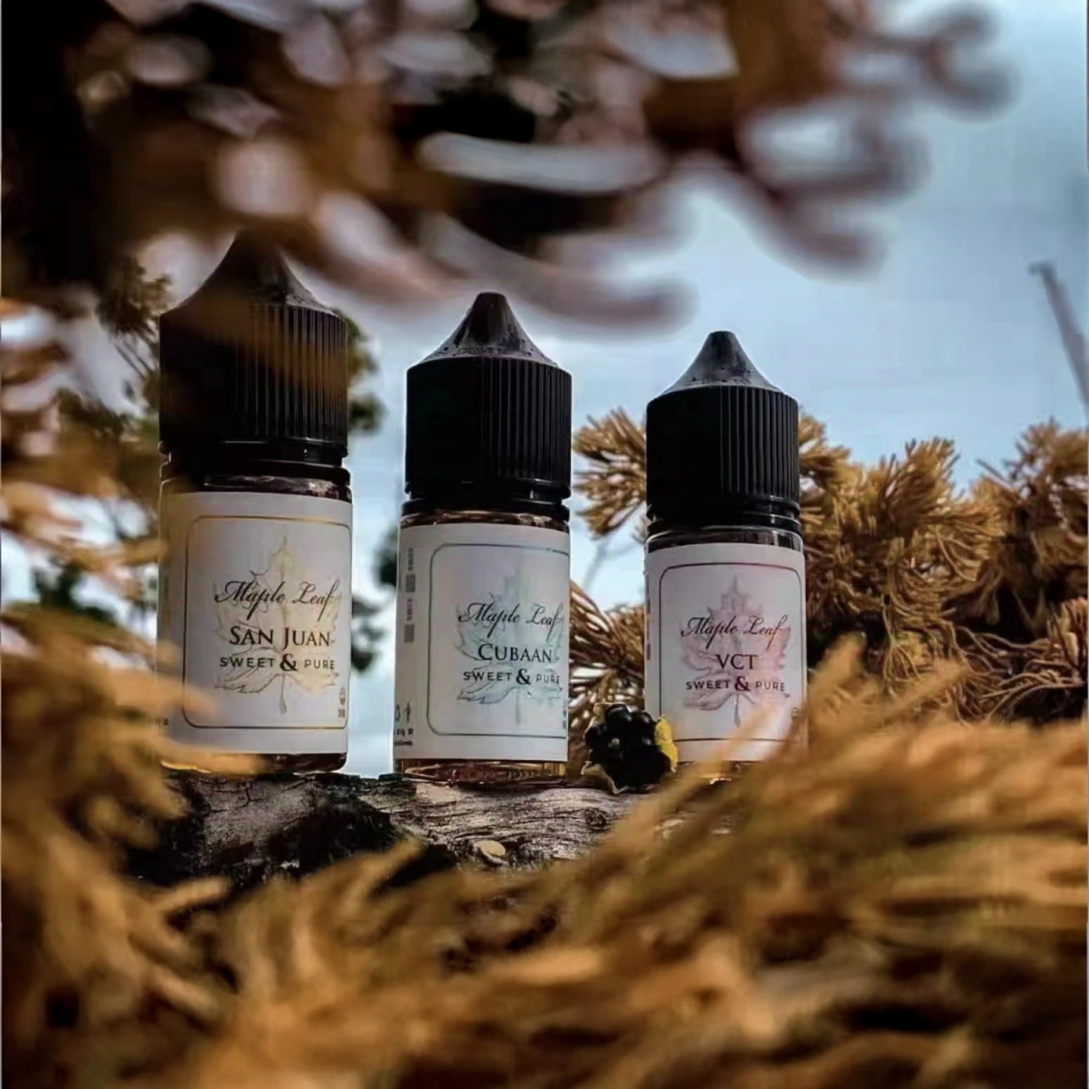 Maple Leaf楓葉-vaporgo