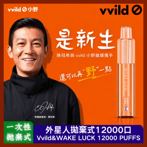 vvild 小野外星人 vvild ALIEN 小野外星人 拋棄式電子煙｜12000口 10ml 台灣推薦
